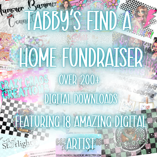 Tabby's Find A Home Fundraiser